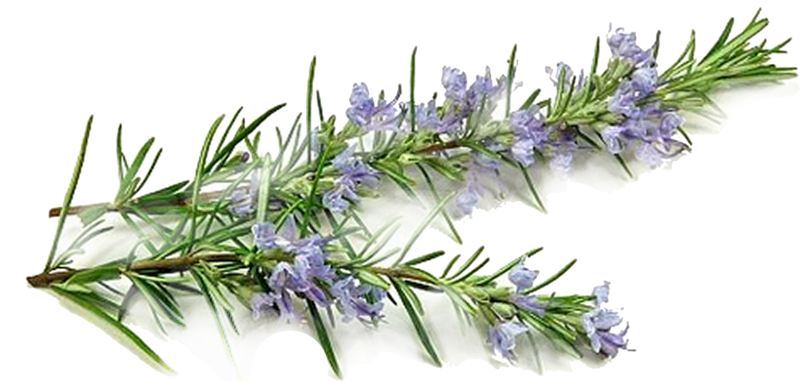 ingredients_image
